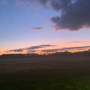 Meet your Posher, Aislinn